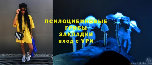 индика Алексеевка