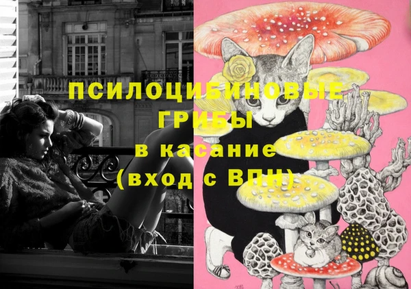 героин Рославль