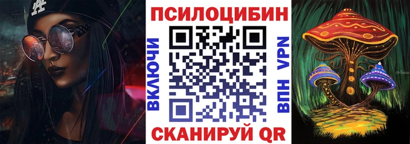 дарнет шоп  Кизляр  Псилоцибиновые грибы мухоморы 