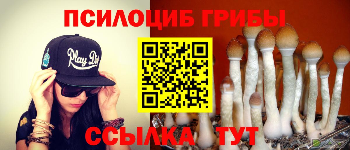 Кизляр  Псилоцибиновые грибы ЛСД  Вход с VPN 